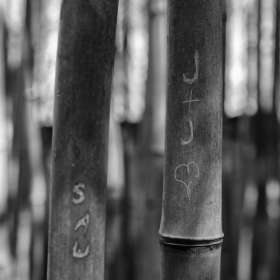 Kevin-Graham-Cheekwood-Outing-1