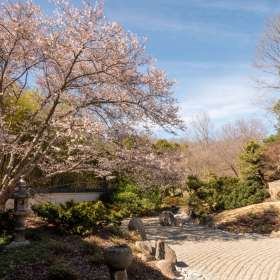 Lois-Frost-Cheekwood-Outing-1