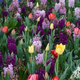 Lois-Frost-Cheekwood-Outing