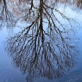 Rick-Wise-Cheekwood-Outing-1