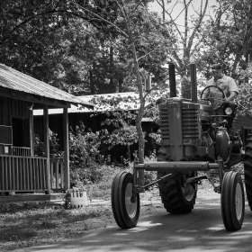 Diane-Burgett-Fiddlers-Grove-Outing-1