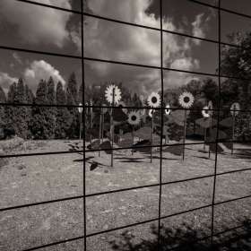 Al-Wood-Huntsville-Botanical-Gardens-Outing-2