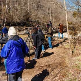 Elizabeth-Stead-Rock-Island-Outing