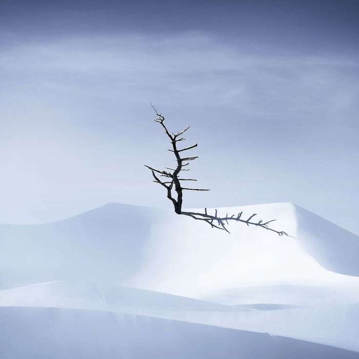 2022 Photo of the Year Winner - Bill Scott