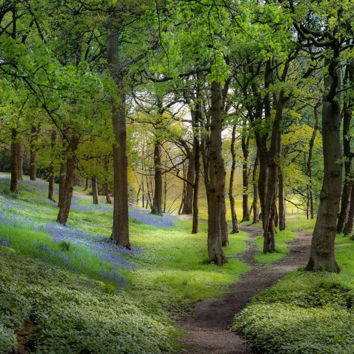 2022 Photo of the Year Finalist - Martin Cregg