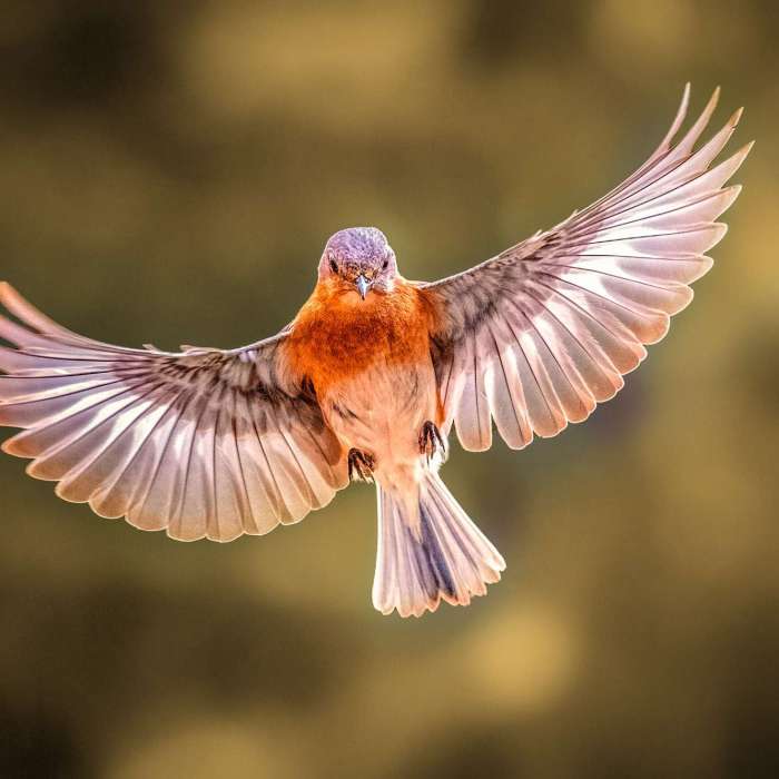 2022 Photo of the Year Finalist - Martin Cregg