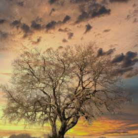 Ed-Batsel-Open-1st-Place-February