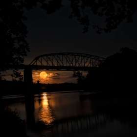 Connie Cole - Open 2nd Place - July