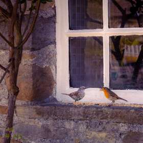 Martin-Cregg-Open-1st-Place