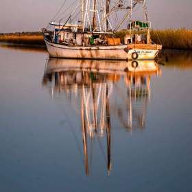 Open 2nd Place – Lyra Hankins