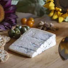 Lesley-Gill-Open-2nd-Place-October