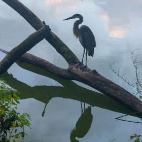 Mark-Reynolds-Open-Jt-2nd-Place-September