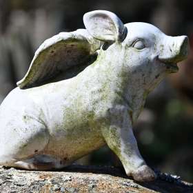 Darek-Baker-Bell-Buckle-Outing-2