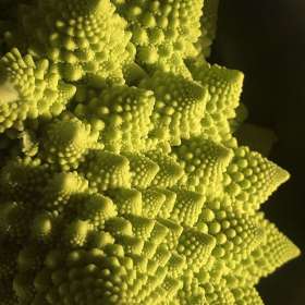 Ray-Wong-open-2nd-Place-August