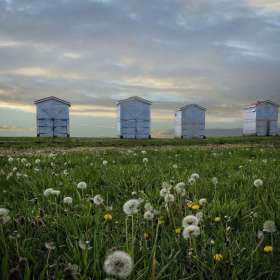 Bill-Scott-Open-1st-Place-July