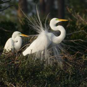 Andy-Griswold-Open-1st-Place-June
