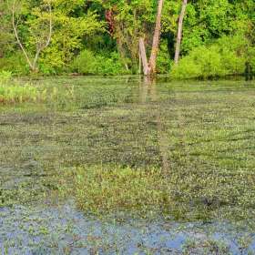 Scott-Oberle-Open-Jt-2nd-Place-May