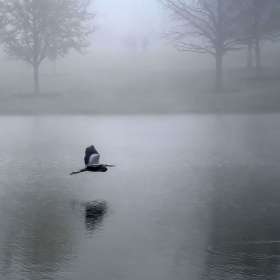 Ray-Wong-Open-1st-Place-October