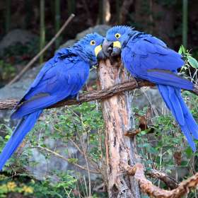 Darek-Baker-Nashville-Zoo-Outing-1