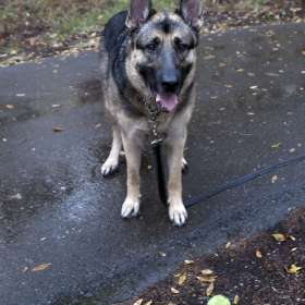 Darek-Baker-Long-Hunter-State-Park-Outing-2