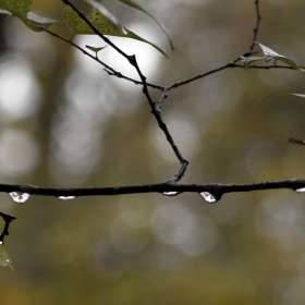 Darek-Baker-Long-Hunter-State-Park-Outing