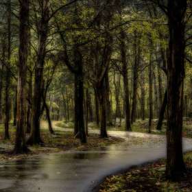 Diane-Burgett-Long-Hunter-State-Park-Outing