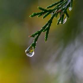 Frank-Geiger-Long-Hunter-State-Park-October-Outing-2