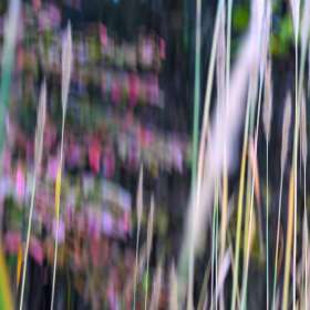 Frank-Geiger-Long-Hunter-State-Park-October-Outing