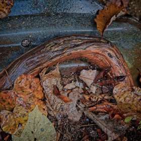 Rick-Borchert-Long-Hunter-State-Park-Outing-2