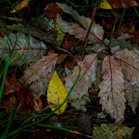 Rick-Borchert-Long-Hunter-State-Park-Outing