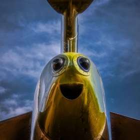 Diane-Burgett-Aviation-Heritage-Park-Outing-2