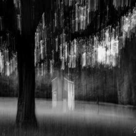 Diane-Burgett-Florence-AL-Outing-3