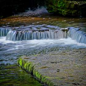 Rick-Borchert-Old-Stone-Fort-Outing-3