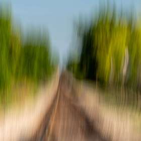 Diane-Burgett-Dickson-TN-Scavenger-Hunt-Outing-1 2024