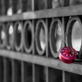 Diane-Burgett-Dickson-TN-Scavenger-Hunt-Outing 2024