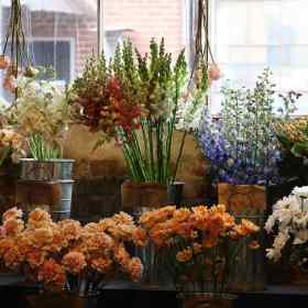 Cheryl-Hillis-The-Factory-at-Franklin-Outing-2