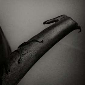 Rick-Borchert-Marathon-Village-Outing-1