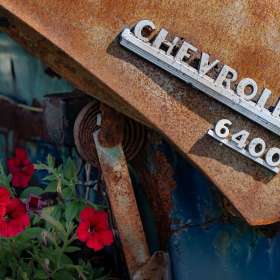 Diane Burgett-Lucky-Ladd-Farm-Outing July 2025