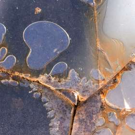 Diane Burgett-Lucky-Ladd-Farm-Outing 2 July 2025