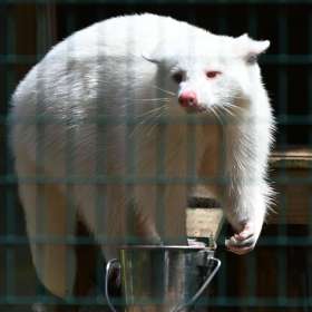 Darek-Baker-Lucky-Ladd-Farms-Outing