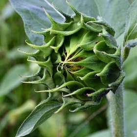 Karen-Baker-Lucky-Ladd-Farms-Outing-1