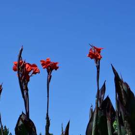 Karen-Baker-Lucky-Ladd-Farms-Outing