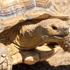 Mark-Reynolds-Lucky-Ladd-Farm-Outing-1