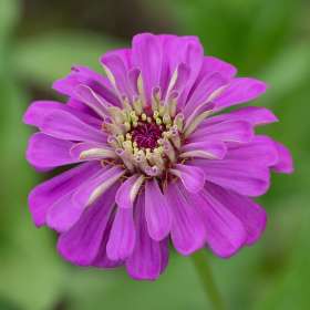 Mark-Reynolds-Lucky-Ladd-Farm-Outing-2