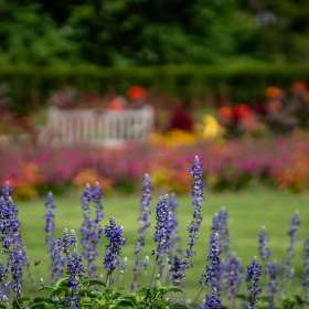 Diane-Burgett-Cheekwood-Outing-2 Cheekwood 2025