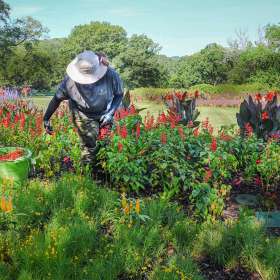 Ray-Wong-Cheekwood-Outing June 2025