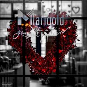 Diane-Burgett-LL-Market-Outing-2