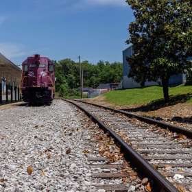Elizabeth-Stead-Clarksville-Scavengers-Hunt-Outing-1 May 2025