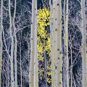 Scott-Oberle-Open-2nd-Place-Apri 2025