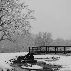 Tamilyn-Derryberry-Bridges-2nd-Place-February 2025